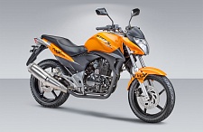 Мотоцикл 250 FLEX